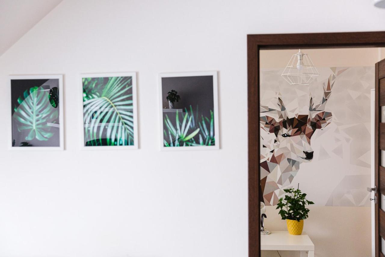 Apartament W Centrum ウストシキ・ドルネ エクステリア 写真