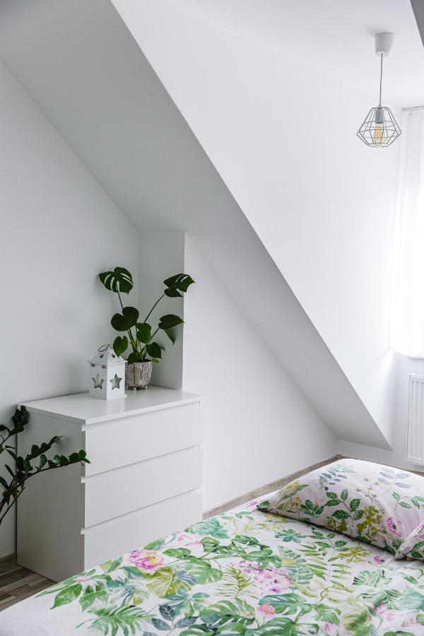 Apartament W Centrum ウストシキ・ドルネ エクステリア 写真